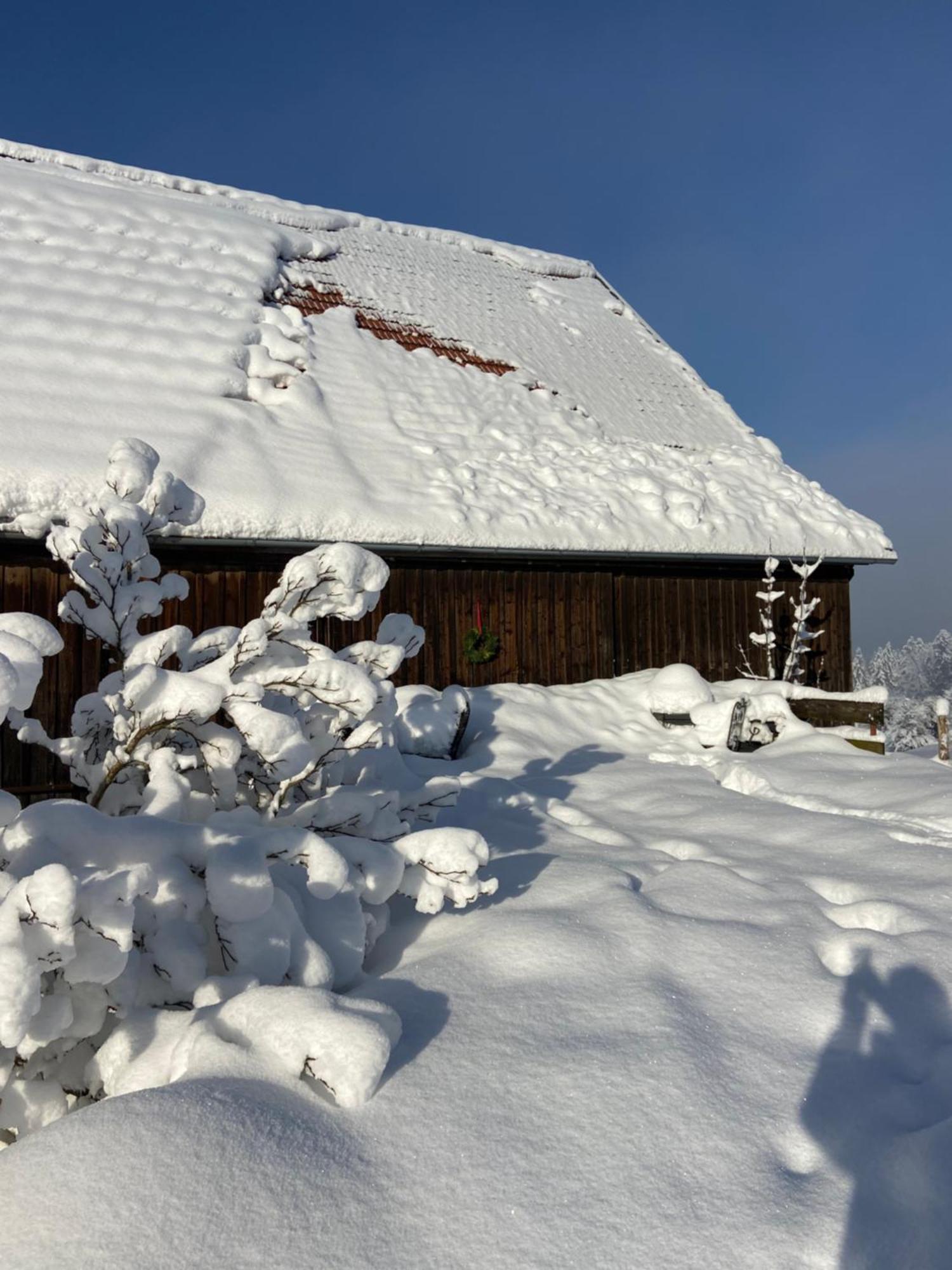 Allgaeu Cottage - Traumhafter Blick In Die Schweizer Berge Вайлер-Зіммерберг Екстер'єр фото
